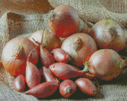 Shallots Vegetable Diamond Painting