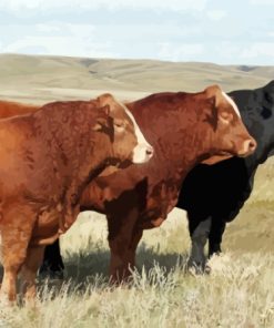 Simmental Cattle Cows Diamond Painting