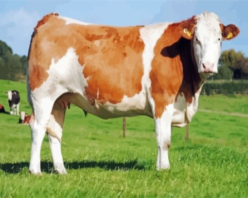 Swiss Simmental Cattle Diamond Painting