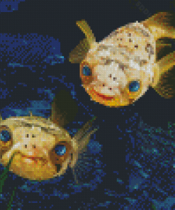 Two Puffer Fish Diamond Painting