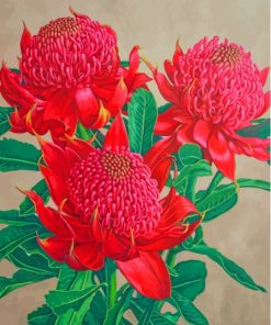 Waratah Plants Diamond Painting