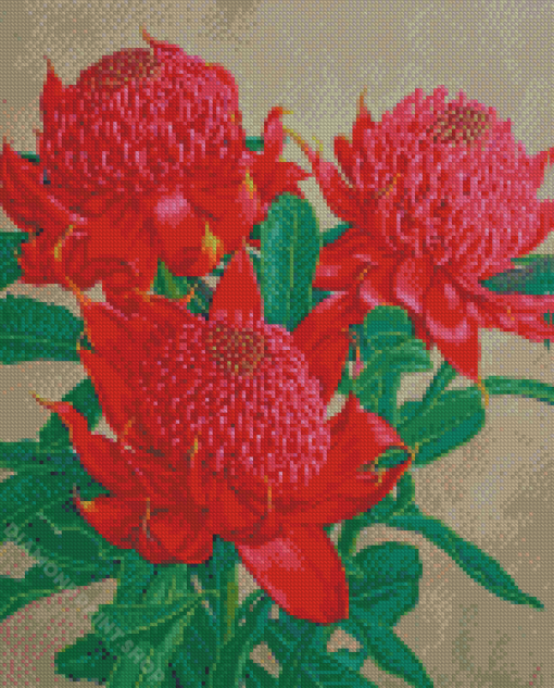 Waratah Plants Diamond Painting