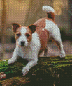 Aesthetic Jack Terrier Diamond Painting