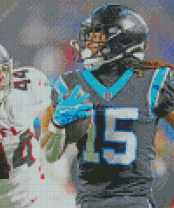 Carolina Panthers Team Player Diamond Painting