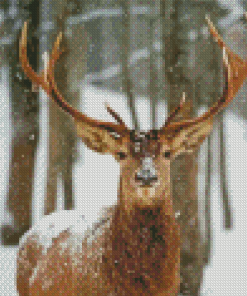 Deer In Woods At Winter Diamond Painting