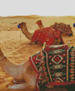 Dubai Desert Camels Diamond Painting