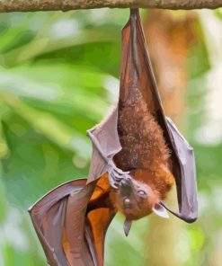 Giant Golden Crowned Flying Fox Hanging In Tree Diamond Painting