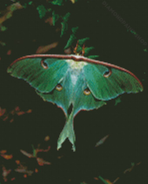 Luna Moth Diamond Painting