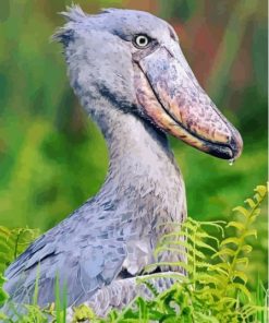 Shoebill Bird Diamond Painting