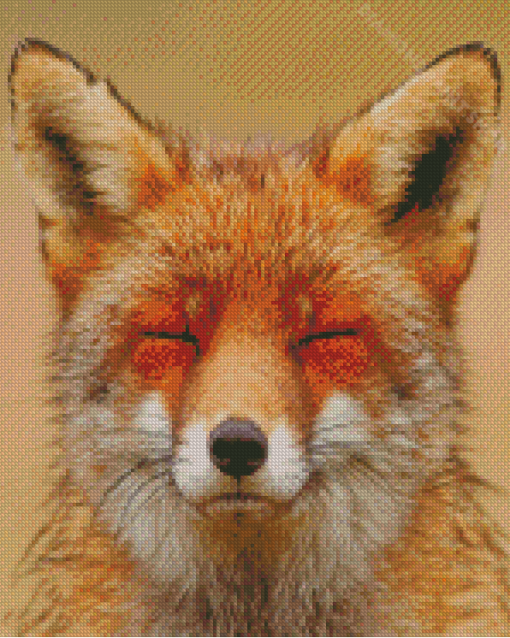 Smiling Orange Fox Face Diamond Painting