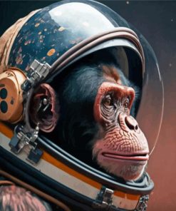 Space Astronaut Chimp Art Diamond Painting