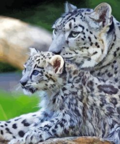 White Leopard And Her Baby Diamond Painting