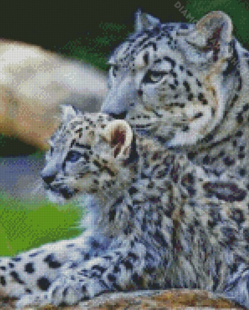 White Leopard And Her Baby Diamond Painting