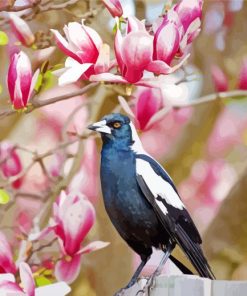 Australian Magpies With Pink Tree Diamond Painting