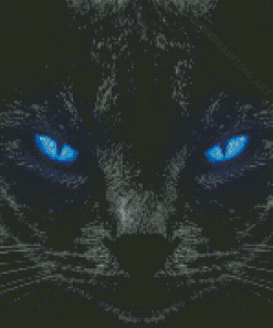 Black Cat Blue Eyes Diamond Painting