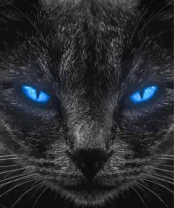 Black Cat Blue Eyes Diamond Painting