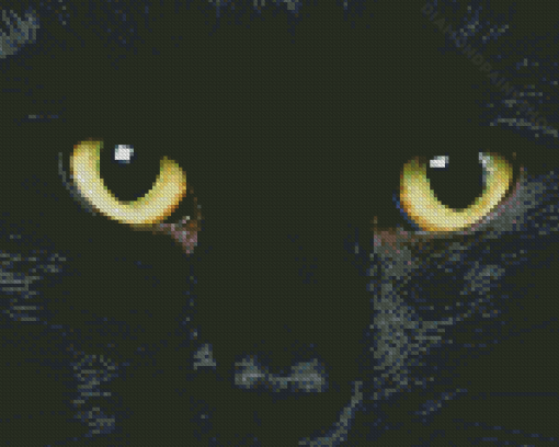 Black Cat Eyes Diamond Painting