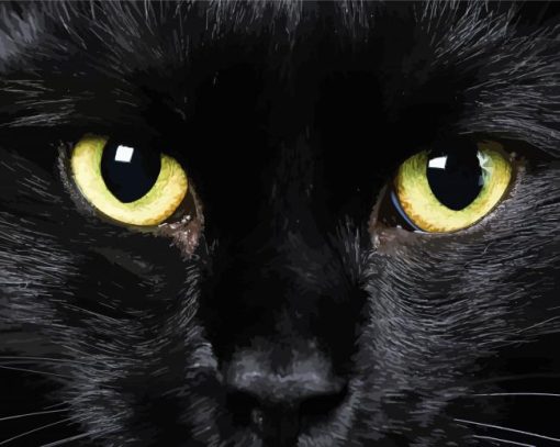 Black Cat Eyes Diamond Painting