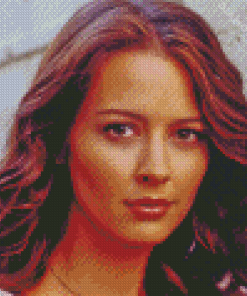 Close Up Amy Acker Diamond Painting