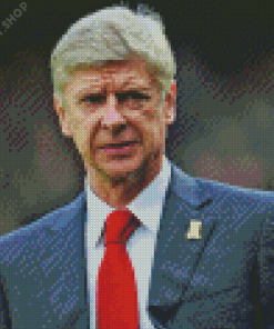 French Arsene Wenger Diamond Painting