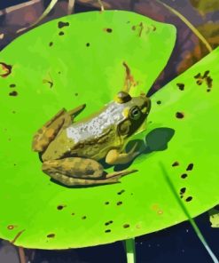 Frog On Water Lily Pad Diamond Painting