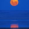 Full Moon Over Lake Diamond Painting