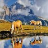 Haflinger Horses Water Reflection Diamond Painting