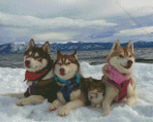 Huskies With Cat In Snow Diamond Painting