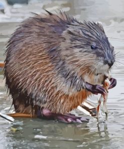 Muskrat Animal Diamond Painting