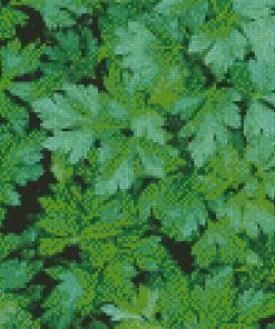 Parsley Leaves Diamond Painting