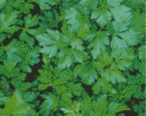 Parsley Leaves Diamond Painting