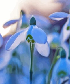 Snowdrops Flowers Plant Diamond Painting