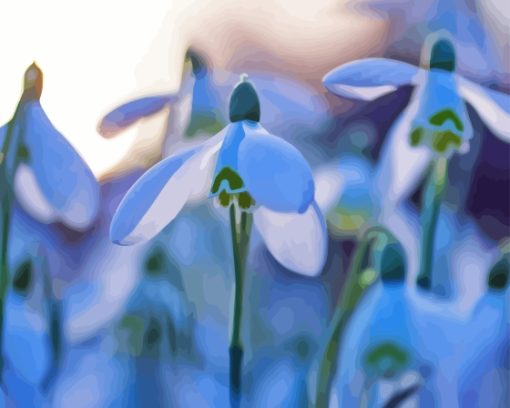 Snowdrops Flowers Plant Diamond Painting