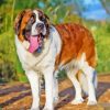 St Bernard Diamond Painting