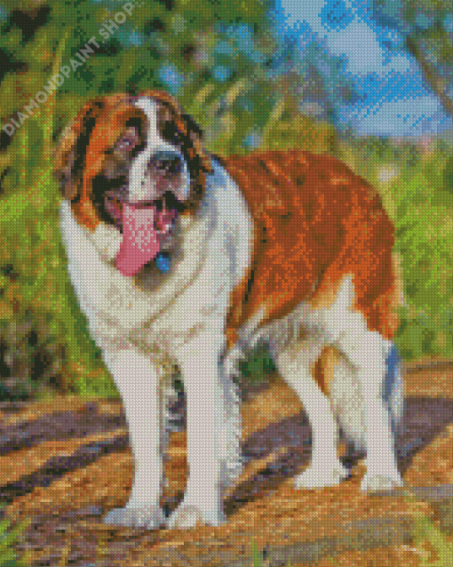 St Bernard Diamond Painting