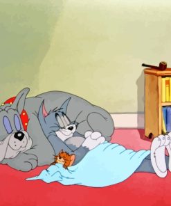 Tom And Jerry And Dog Sleeping Diamond Painting