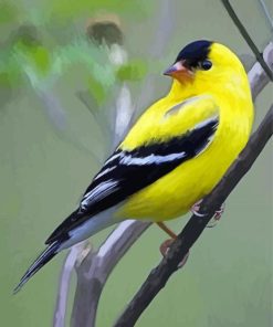 Yellow Finch Bird Diamond Painting