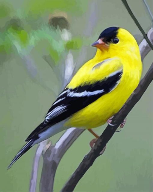 Yellow Finch Bird Diamond Painting