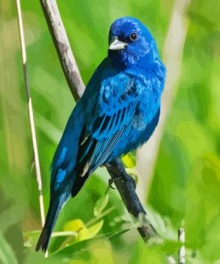 Aesthetic Blue Oriole Bird Diamond Painting