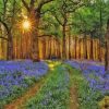 Aesthetic Woodland Bluebell Diamond Painting