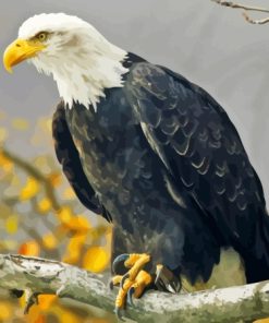 Bald Eagle Diamond Painting