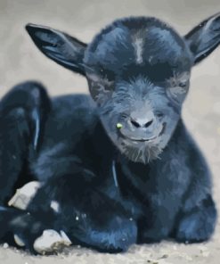 Black Baby Goat Diamond Painting