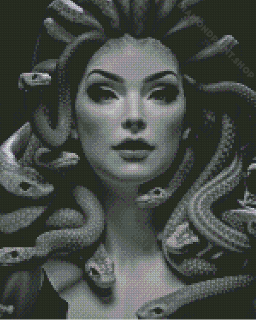 Black And White Snake Woman Diamond Painting