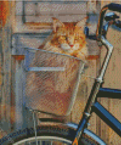 Cat Riding A Bike Diamond Painting