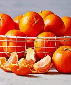 Citrus Orange Diamond Painting