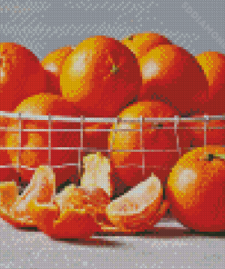 Citrus Orange Diamond Painting