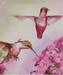 Flying Couple Hummingbird Diamond Painting