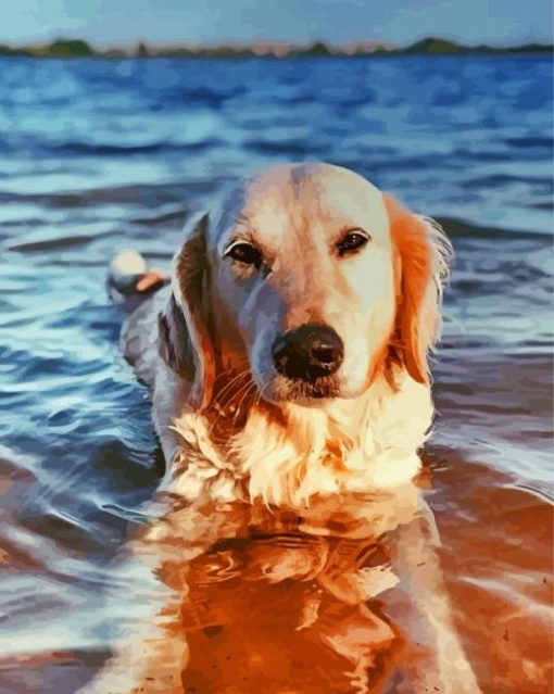 Golden Retriever Enjoying The Summer Diamond Painting