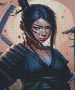 Ninja Girl Diamond Painting