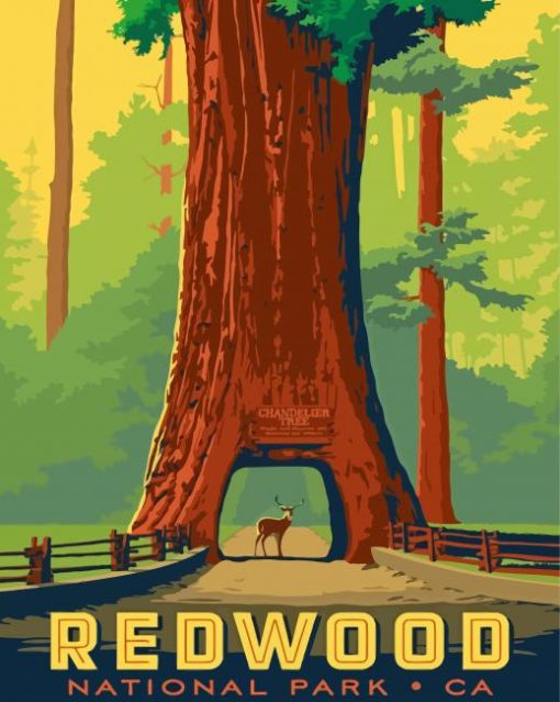 Redwood Forest Diamond Painting